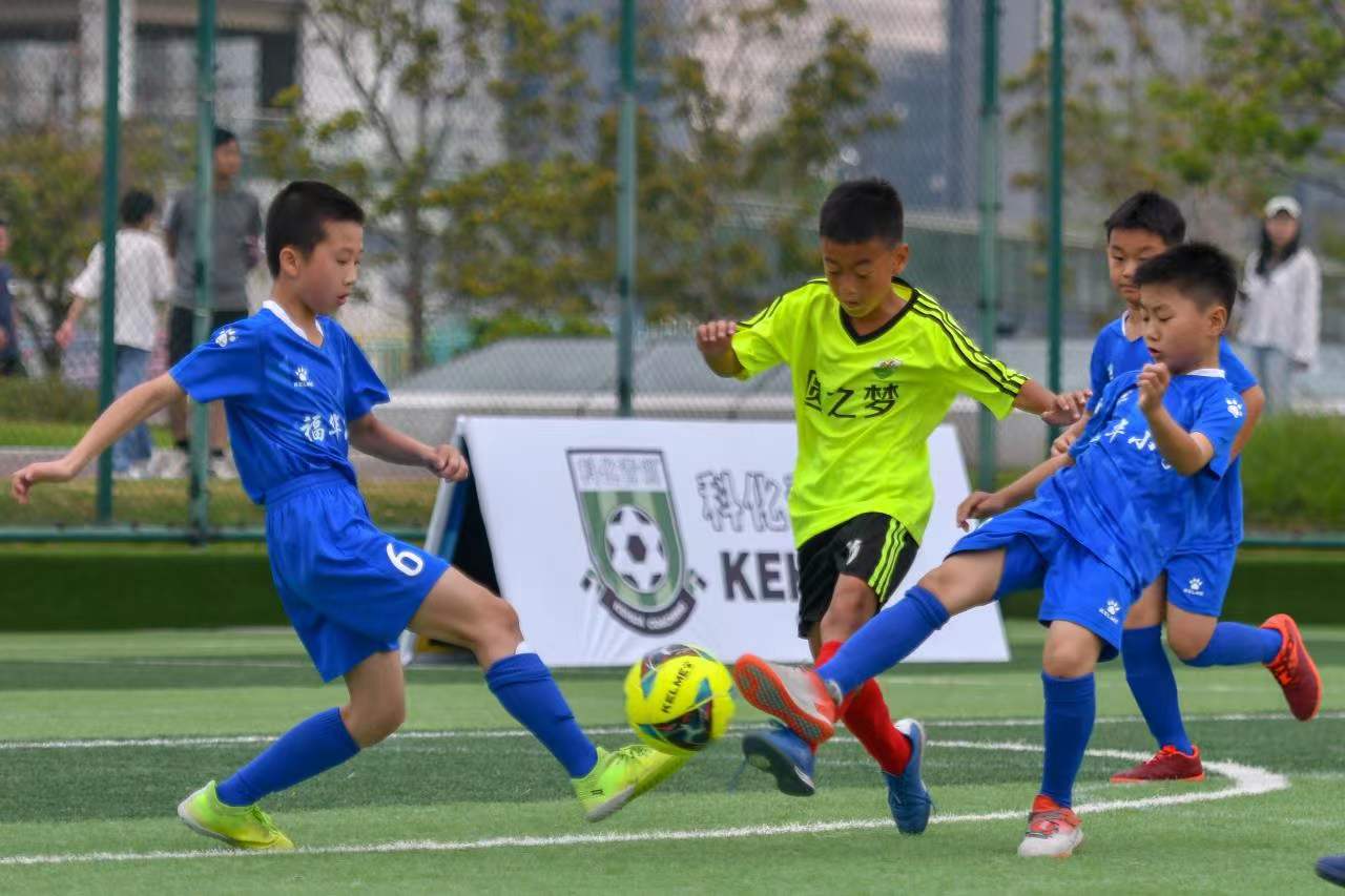 选择与决定 选择与决定