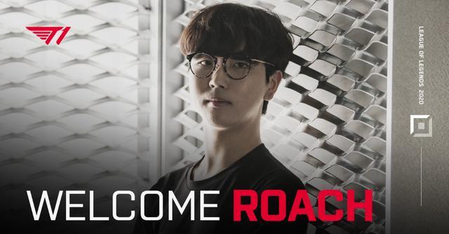 她从每天散 她从每天散