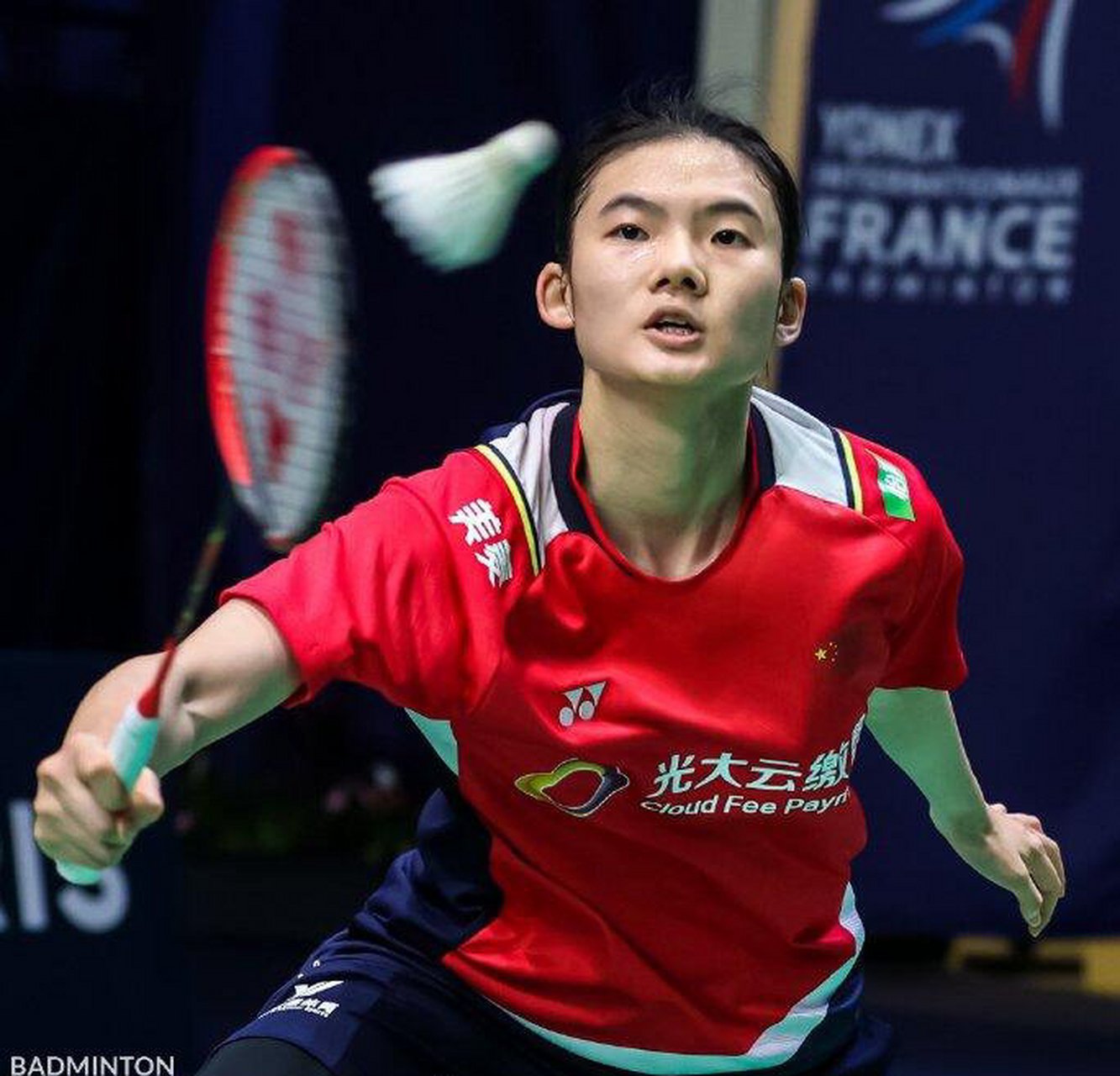 分析费尔梅 分析费尔梅