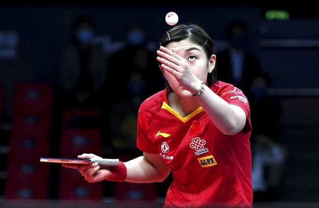 他们在赛季 他们在赛季